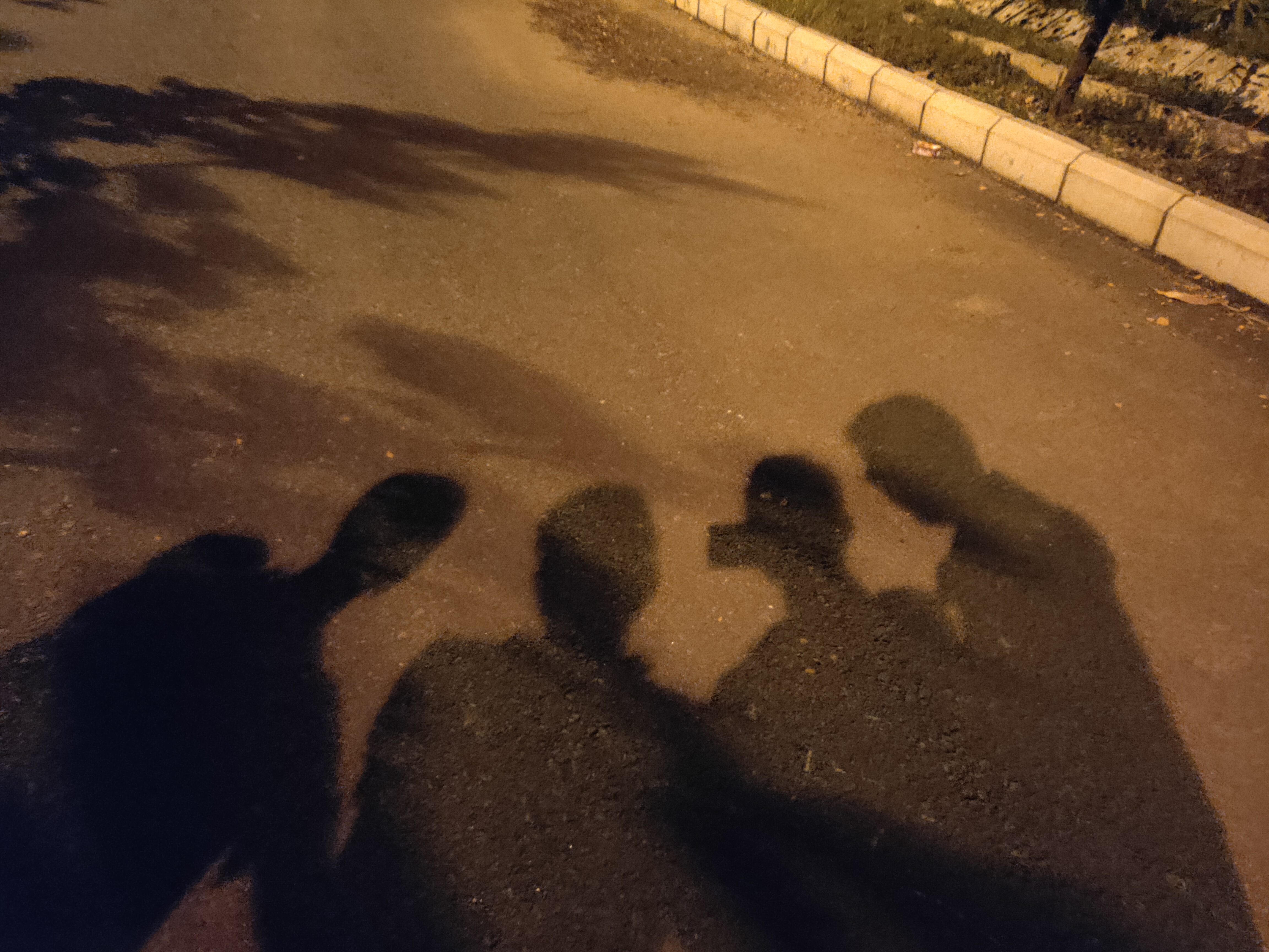 Photo 16 from this ordinary day
